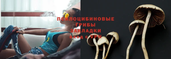 ECSTASY Алексин