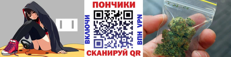 Купить где  Володарск  Конопля семена 